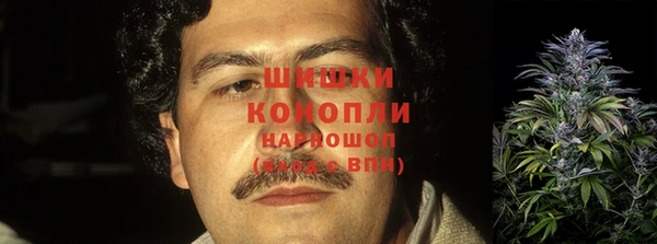 эйфоретик Белоозёрский